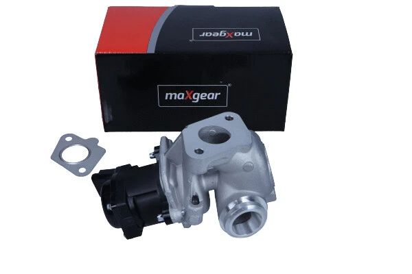 EGR Valve