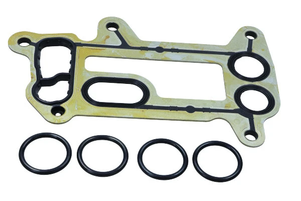 Gasket, oil cooler
