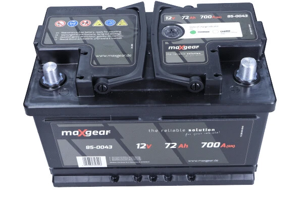 Starter Battery