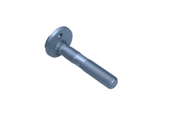 Camber Correction Screw