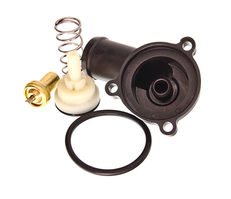 Thermostat, coolant