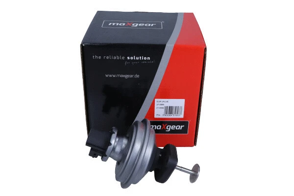 EGR Valve