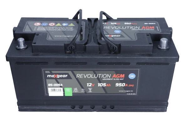 Starter Battery