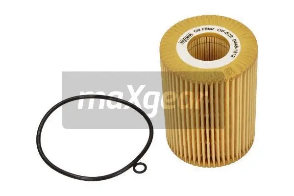 Oil Filter (26-0519)