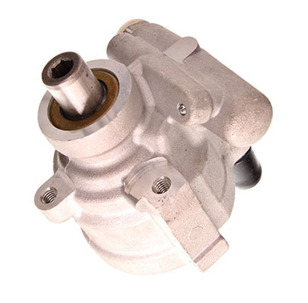 Hydraulic Pump, steering (48-0044)