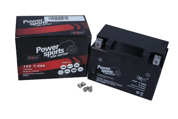 Starter Battery