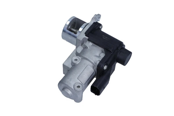 EGR Module