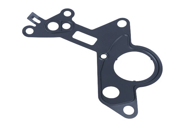 Gasket, vacuum pump