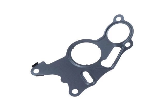 Gasket, vacuum pump