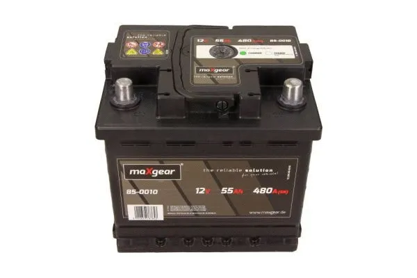 Starter Battery