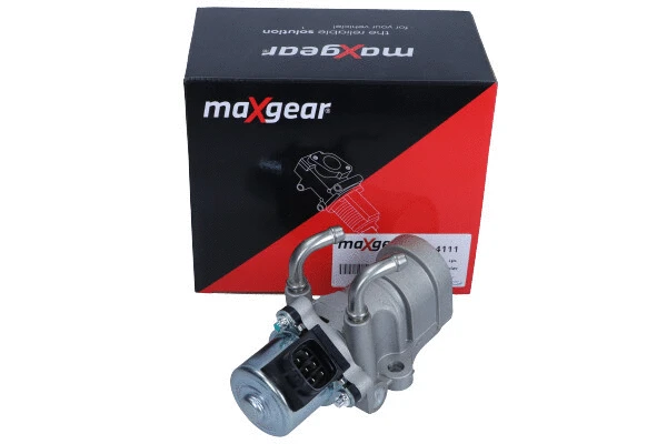 EGR Valve