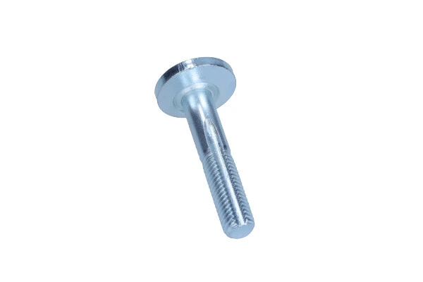 Camber Correction Screw