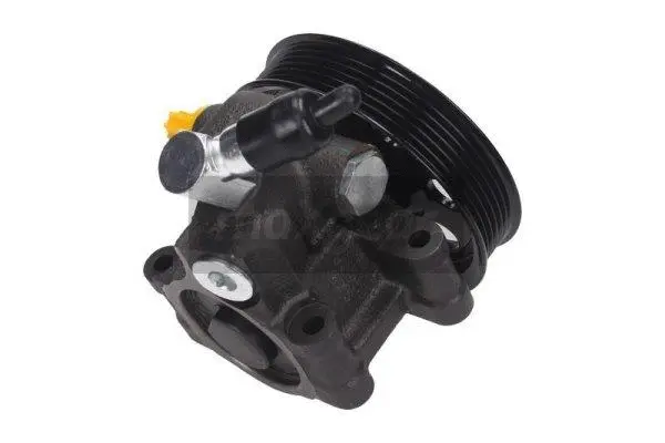 Hydraulic Pump, steering (48-0096)