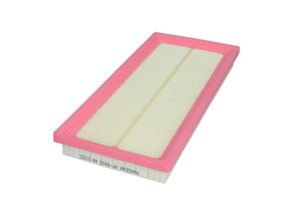 Air Filter (26-2359)