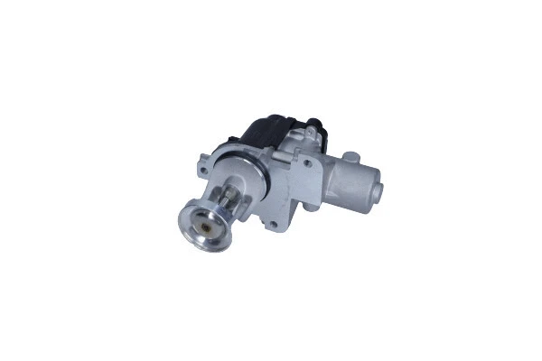 EGR Valve (27-4036)