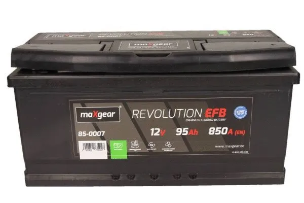 Starter Battery