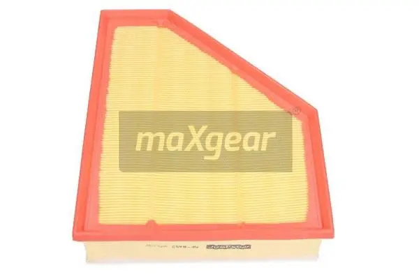 Air Filter (26-0725)