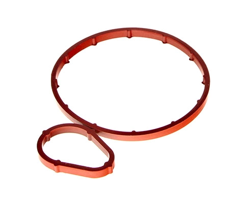 Seal Set, vacuum pump (70-0443)