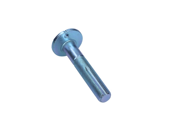 Camber Correction Screw