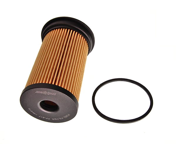 Fuel Filter (26-0311)