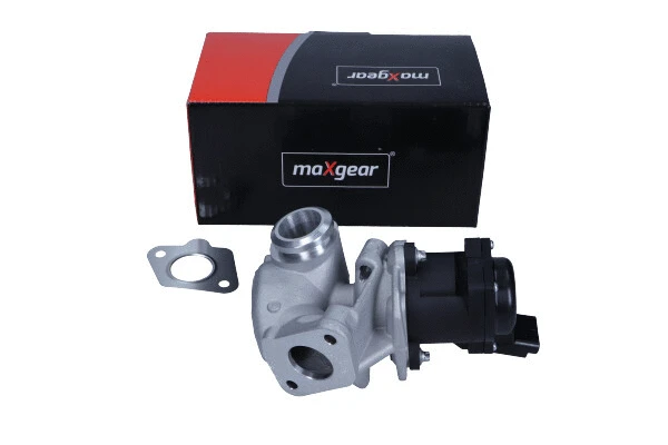 EGR Valve