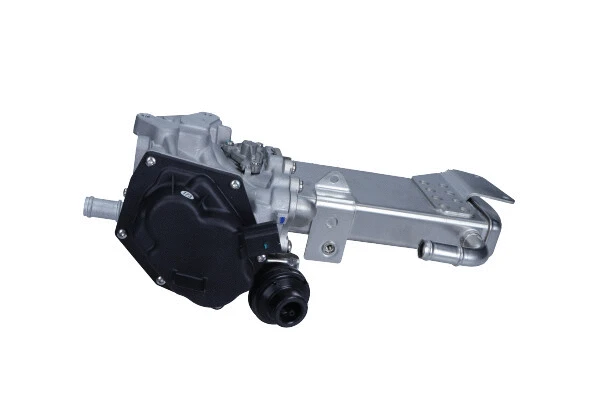 EGR Module