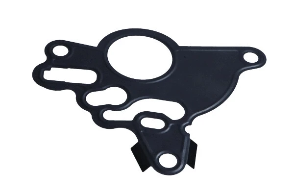 Gasket, vacuum pump