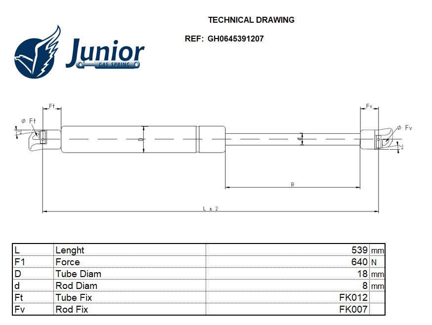 Gas Spring, boot/cargo area