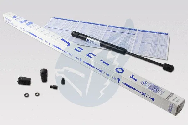 Gas Spring, boot/cargo area