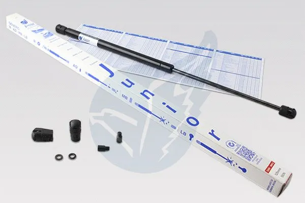 Gas Spring, boot/cargo area