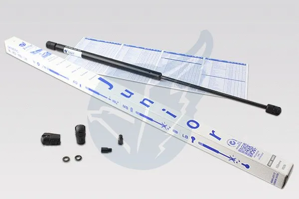 Gas Spring, boot/cargo area