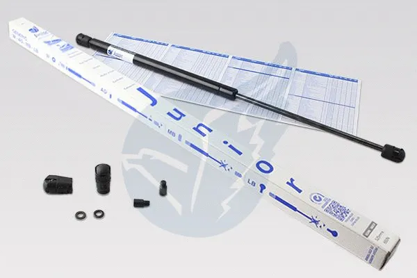 Gas Spring, boot/cargo area