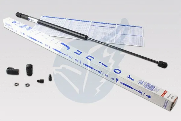 Gas Spring, boot/cargo area