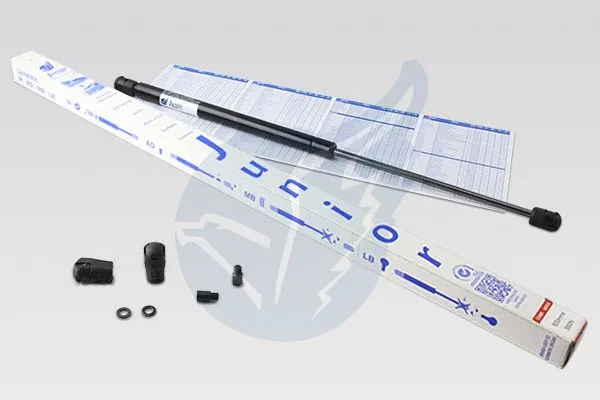 Gas Spring, boot/cargo area