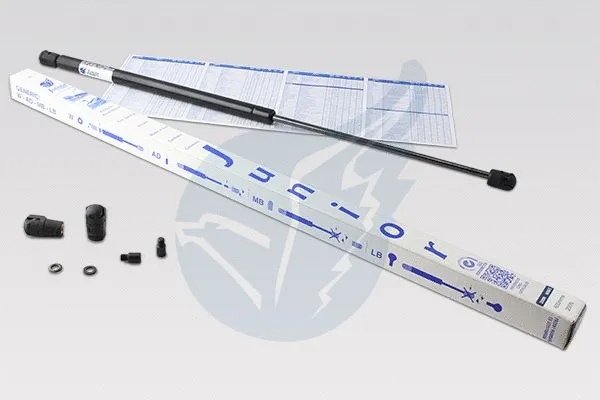 Gas Spring, boot/cargo area