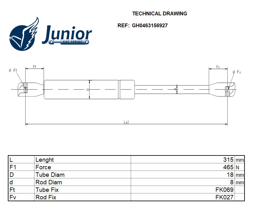 Gas Spring, boot/cargo area