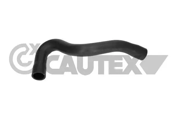 Radiator Hose (771097)