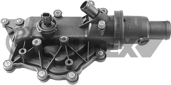 Thermostat, coolant (758419)