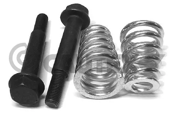 Spring, exhaust pipe (752396)