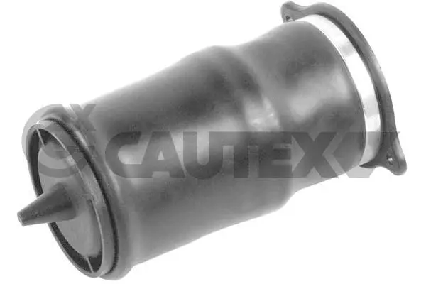 Air Spring, suspension (753217)
