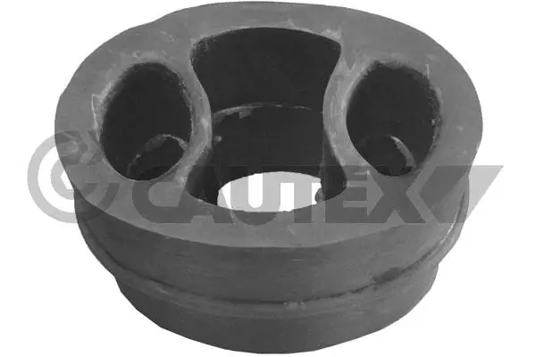 Mount, exhaust system (480607)