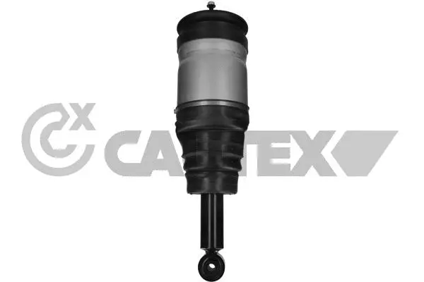 Air Suspension Strut (751950)