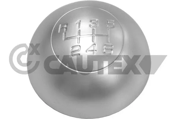 Gear Shift Lever Knob (770566)