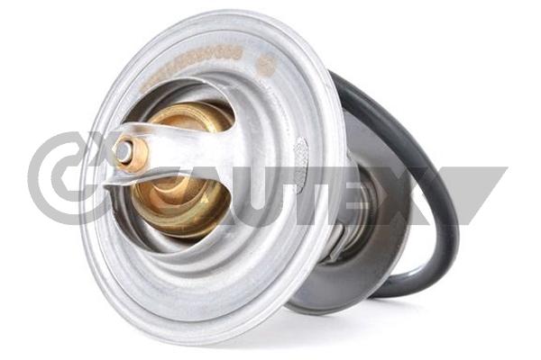 Thermostat, coolant (774605)