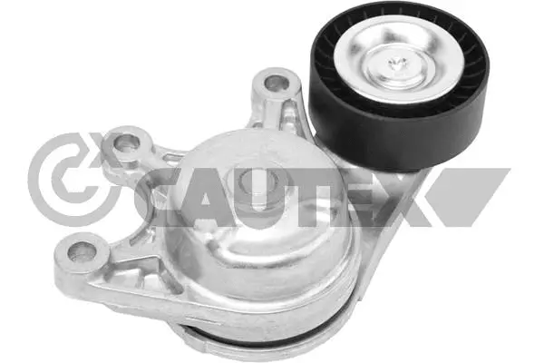 Tensioner Lever, V-ribbed belt (751899)