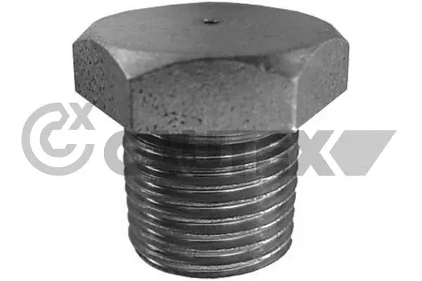 Screw Plug, oil sump (952000)