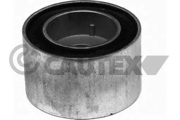 Mounting, transfer case (201007)