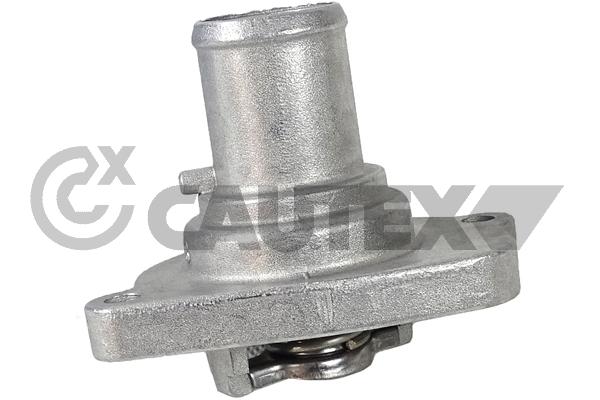 Thermostat, coolant (756910)