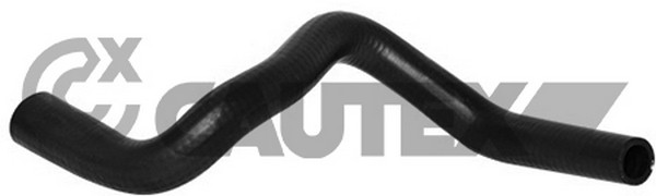 Radiator Hose (753276)