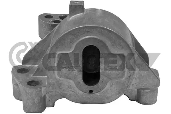 Mounting, engine (031494)